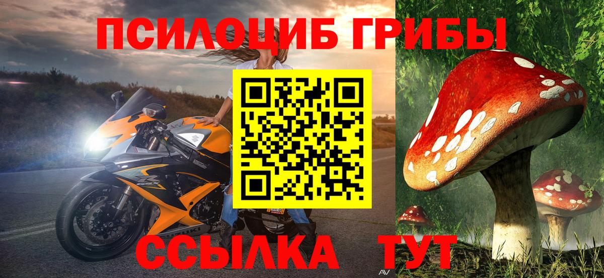 Псилоцибиновые грибы прущие грибы Нурлат